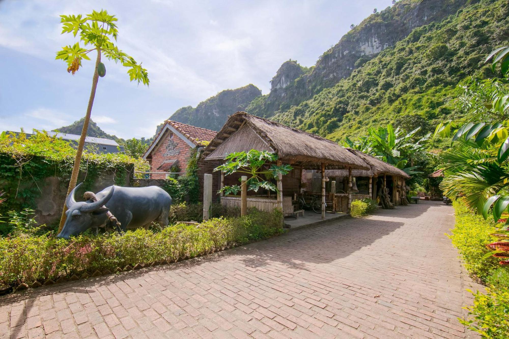 Viet Hai Lan Homestay Trung Trang Esterno foto